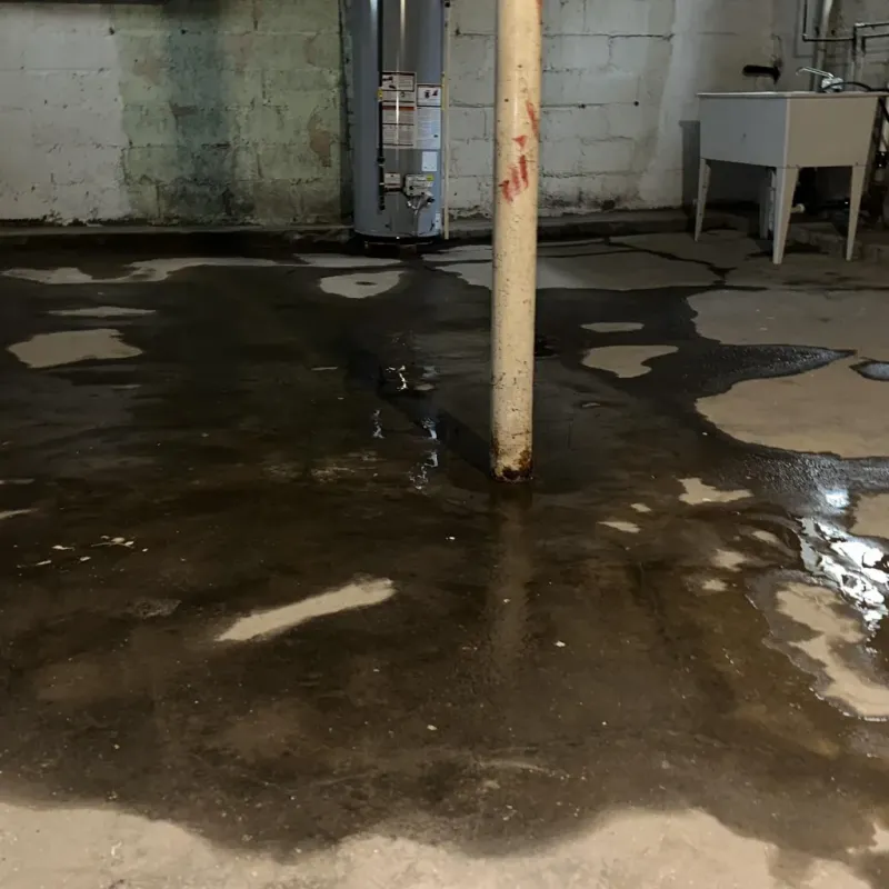 Emergency Water Extraction And Removal in Green Acres, CA